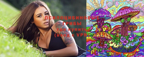 гашик Абаза